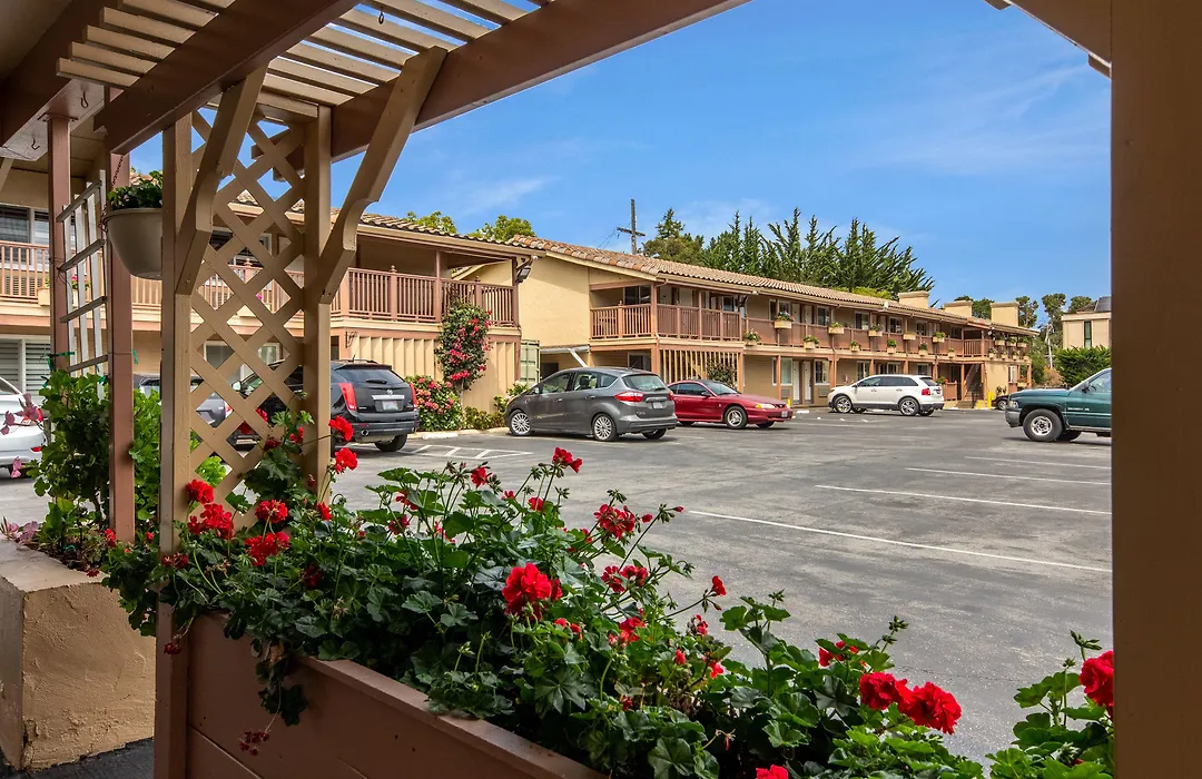 Carmel Hill Lodge-1