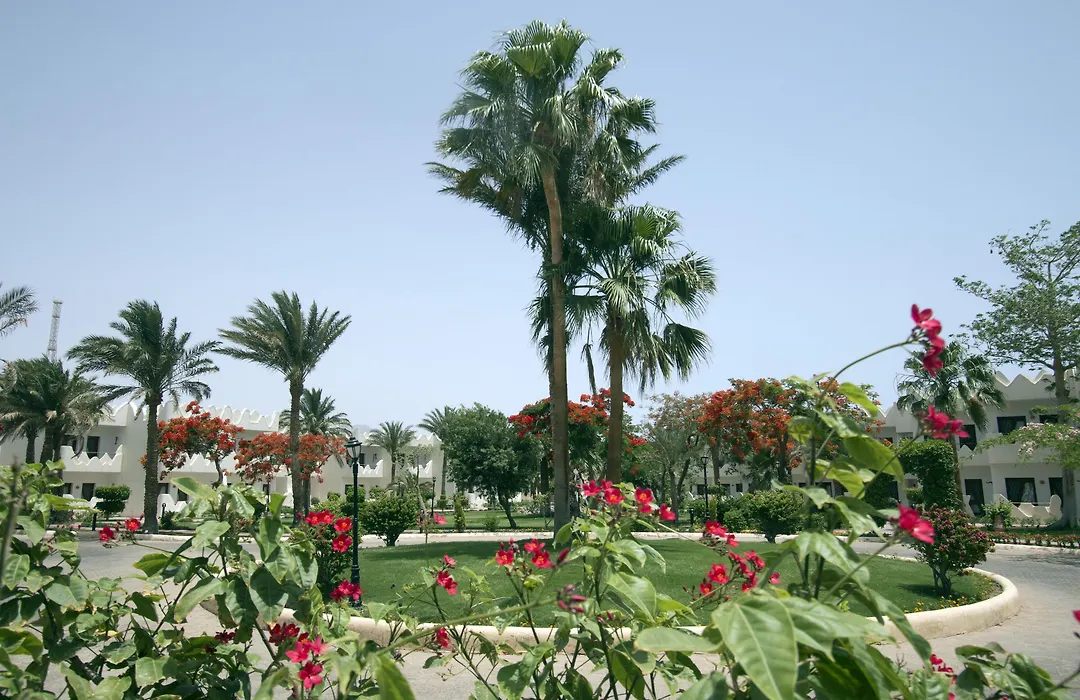 Swiss Inn Resort Dahab-1