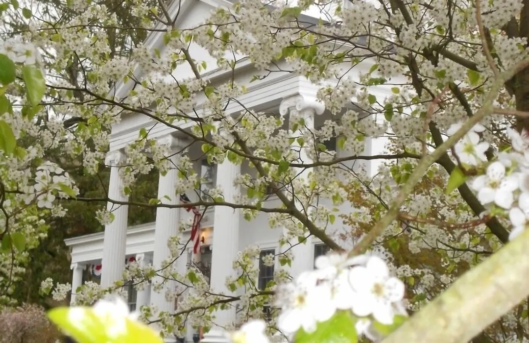 House Of 1833 Bed And Breakfast-1
