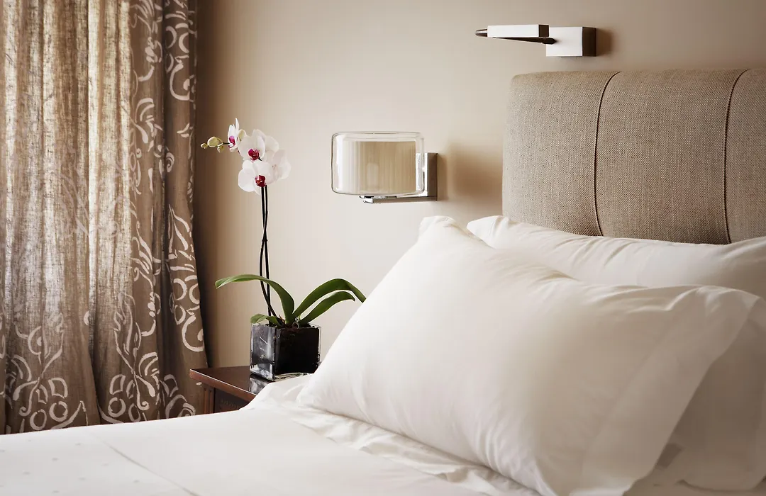 Hotel Rector-1