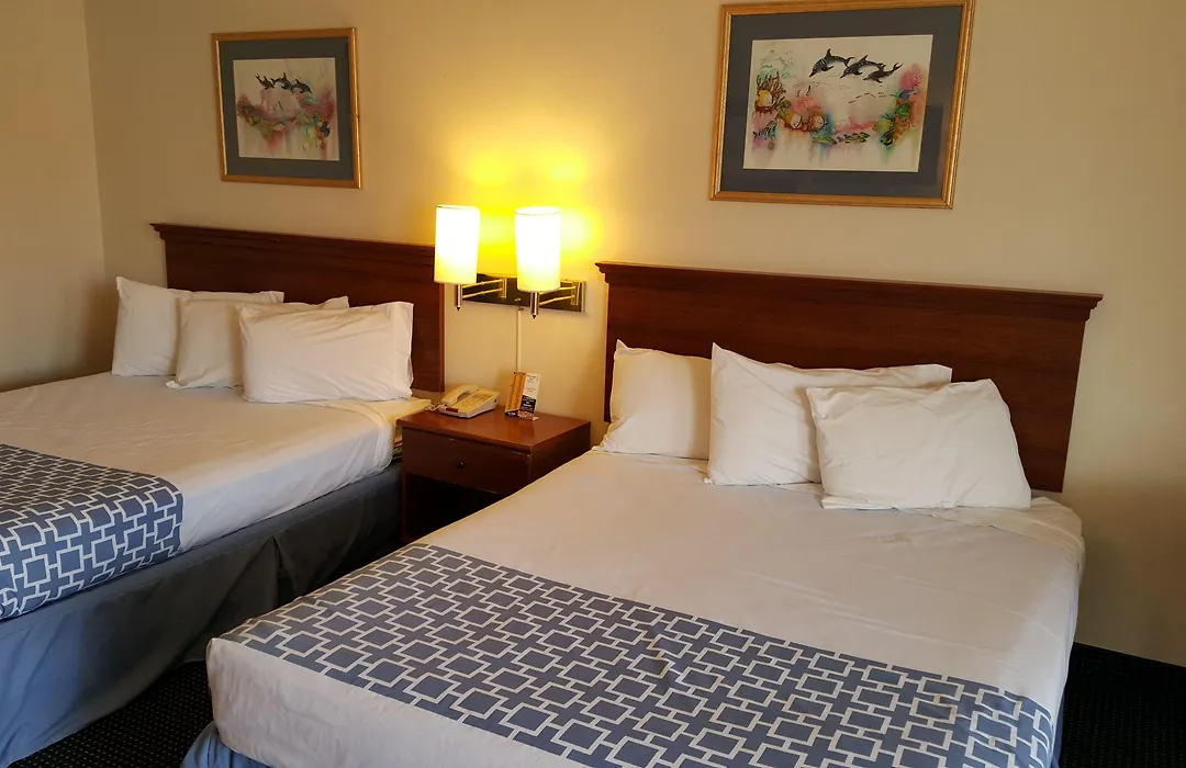 Flamingo Inn-1