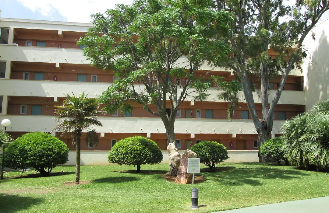 HYB Eurocalas-1