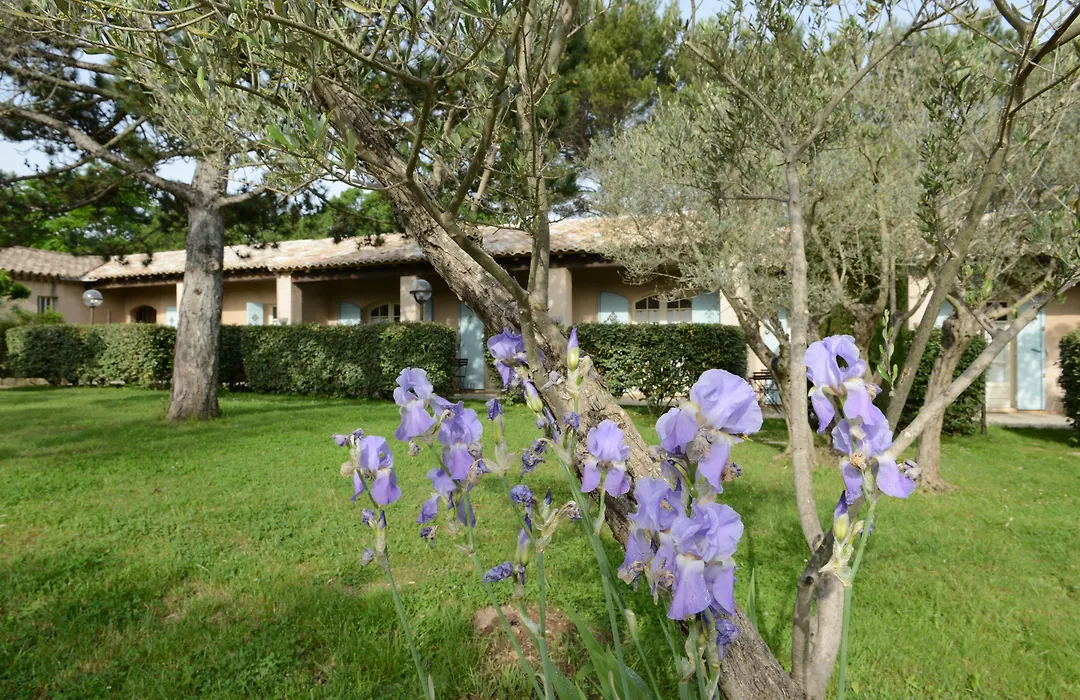 Hôtel Villa Glanum et Spa-1