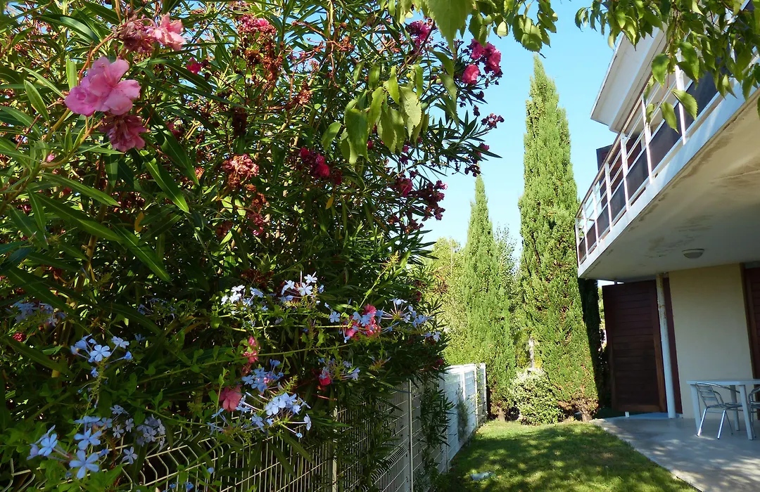 Appart'Hotel Victoria Garden La Ciotat-1