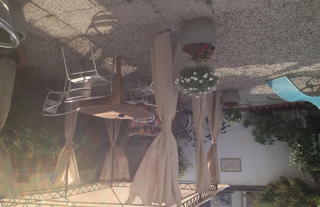 B&B La Mimosa-1