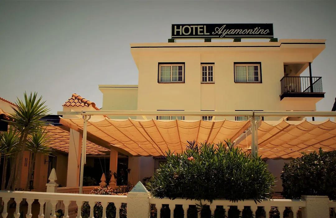 Hotel Ayamontino-1
