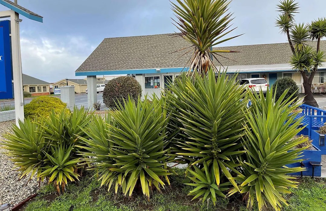 Baymont By Wyndham Fort Bragg-1