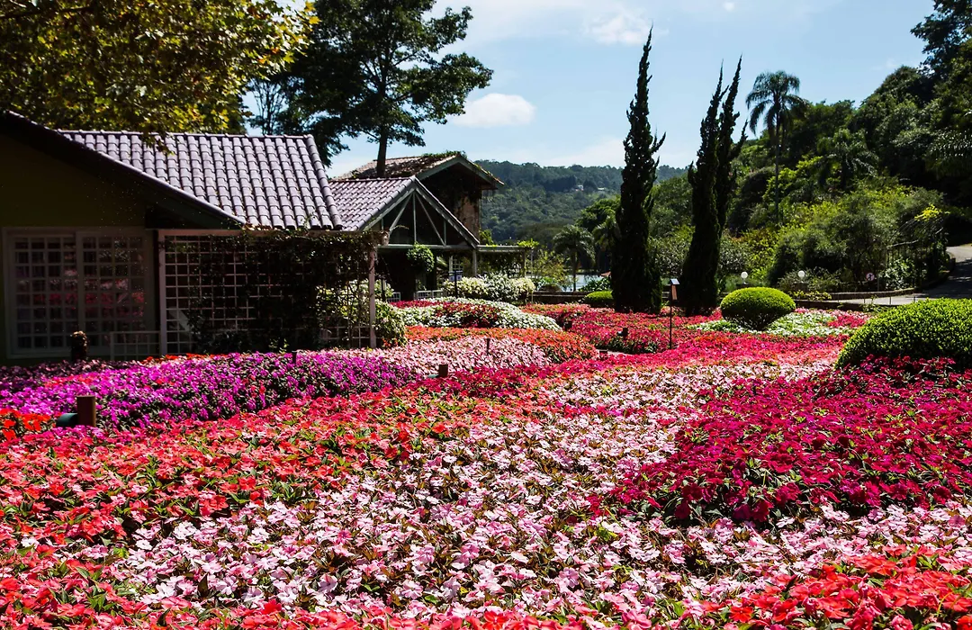 Unique Garden-1