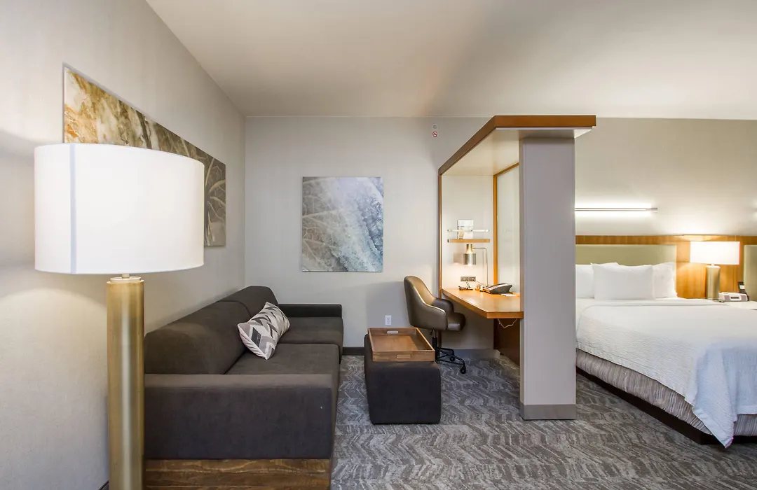 Springhill Suites By Marriott San Angelo-1