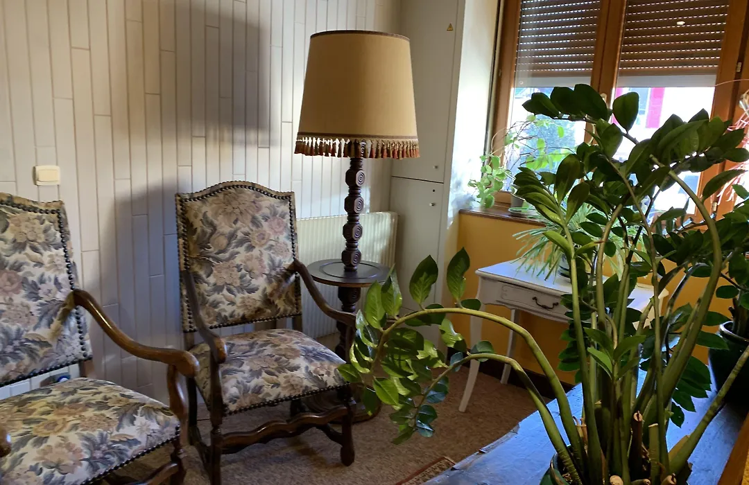 Cit'Hôtel des Vosges - 5 rue de la gare-1