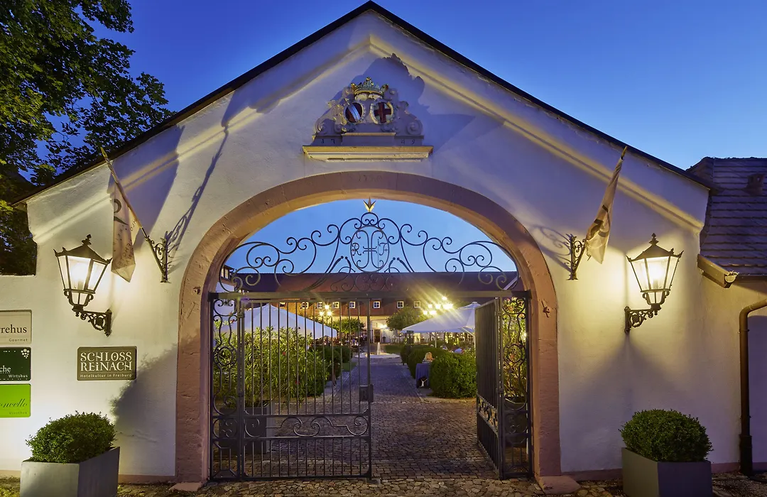 Schloss Reinach-1