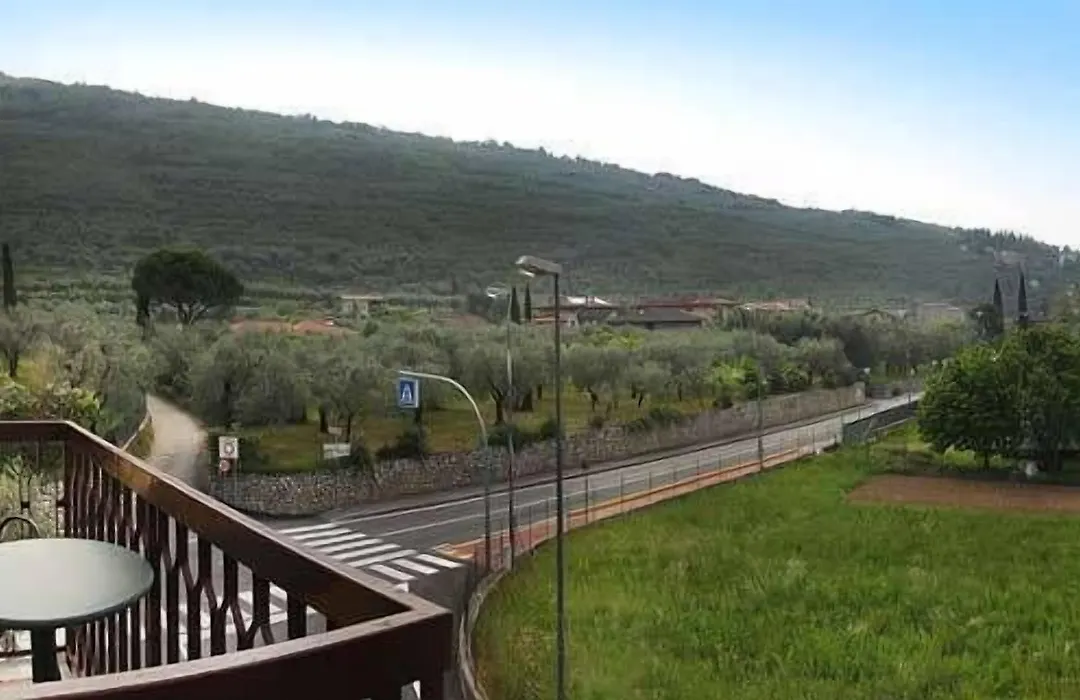 Albergo Garni Orchidea-1