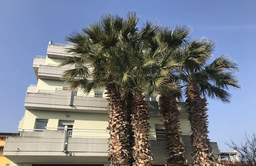 Hotel Mediterraneo-1