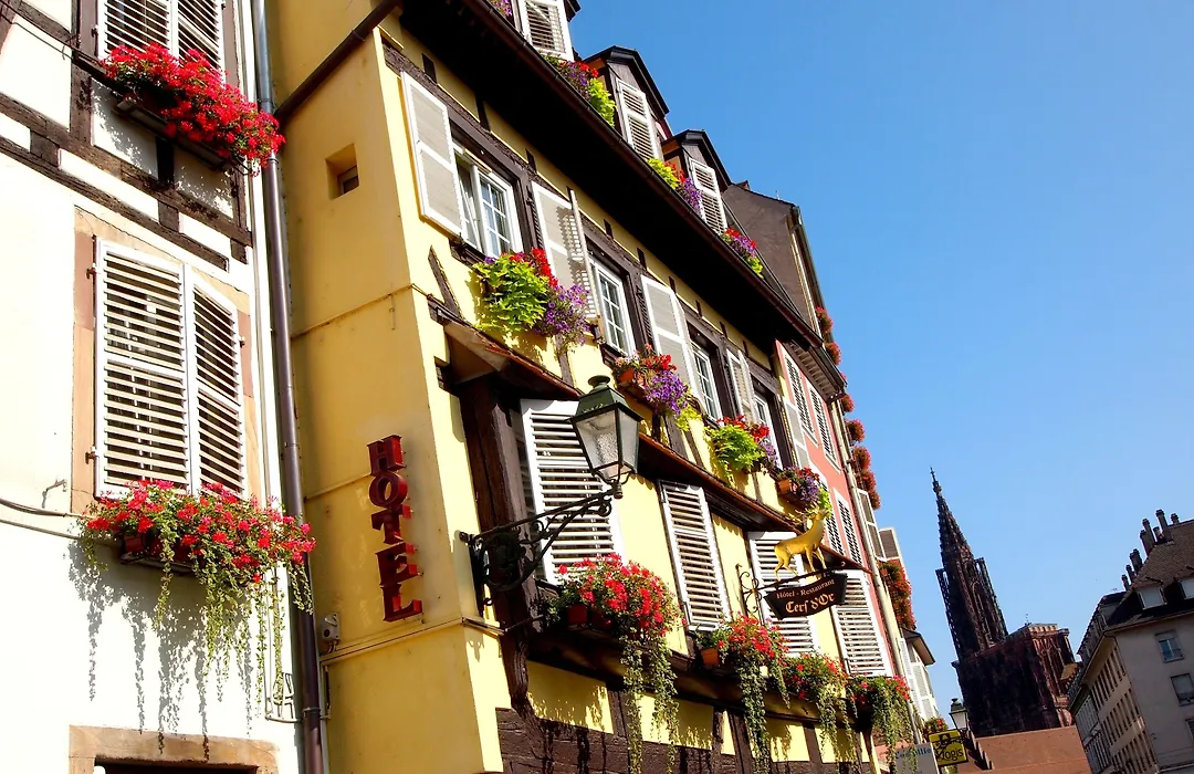 Logis Hôtel Restaurant Au Cerf d'Or-1