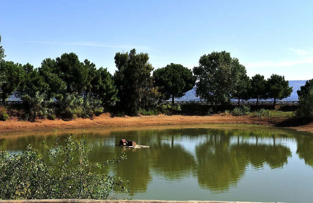 Popilia Country Resort-1