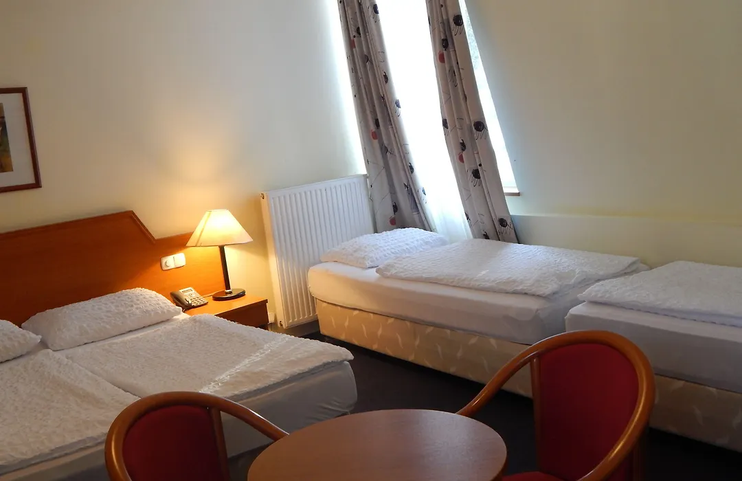 Hotel Alpina-1