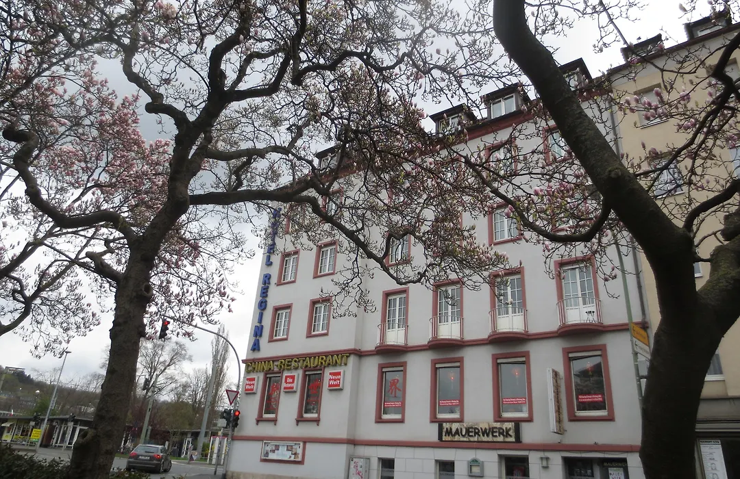 Hotel Regina-1