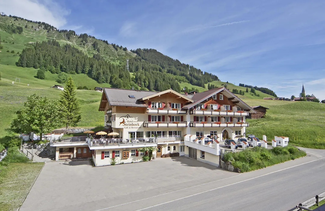 Hotel Steinbock-1