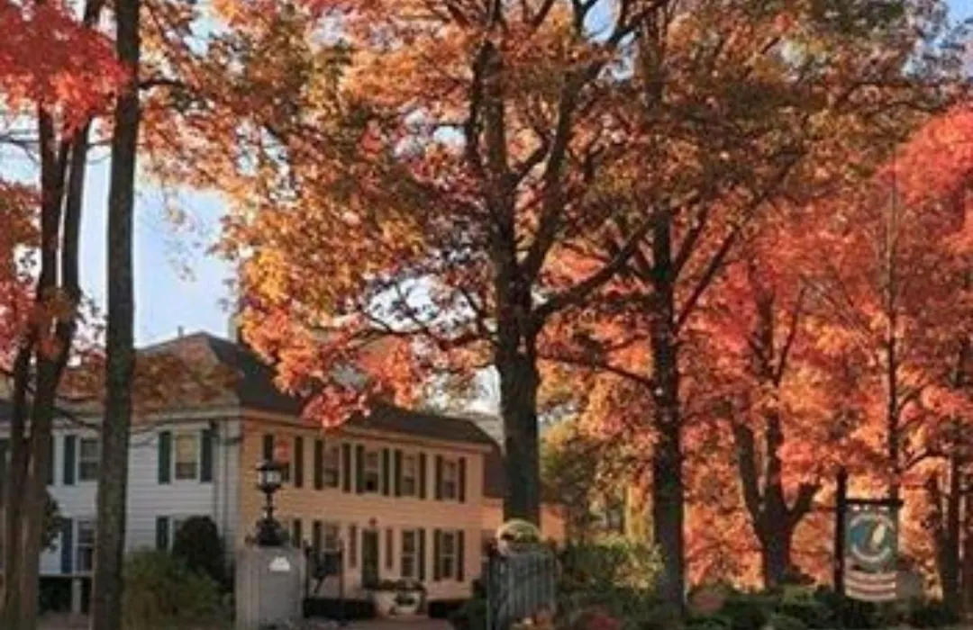 The Inn At Ormsby Hill-1