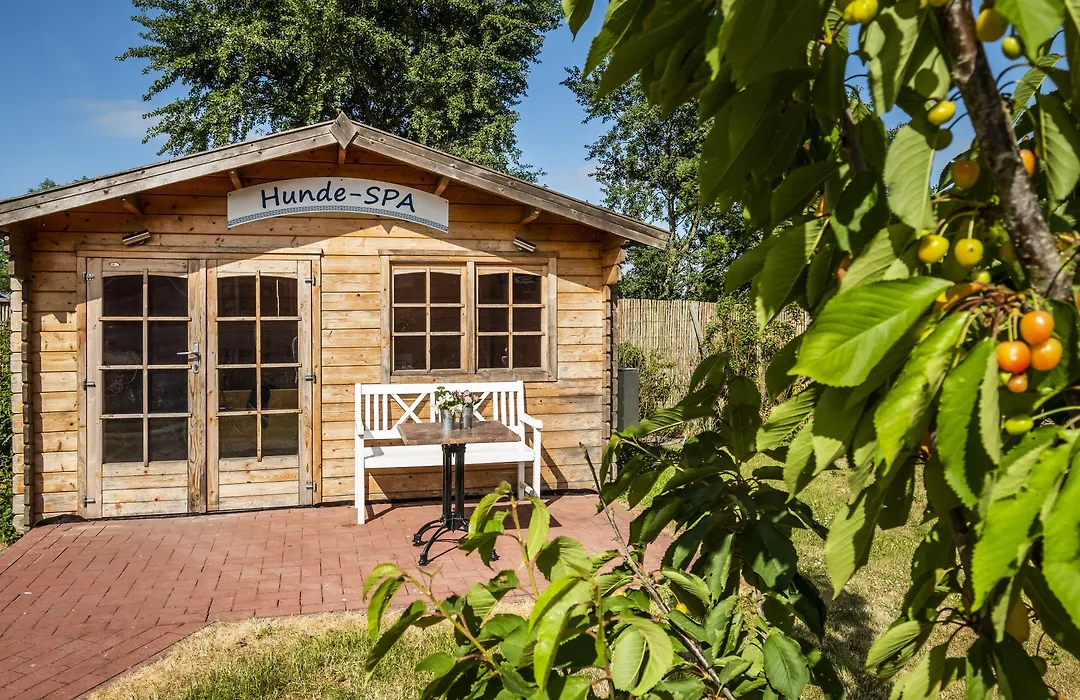 Hotel Pharisäerhof - DAS Hundehotel auf Nordstrand mit Restaurant und Café-1