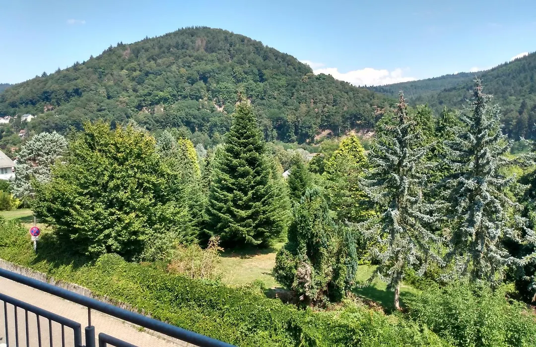 Hotel zum Neckartal Heidelberg-1