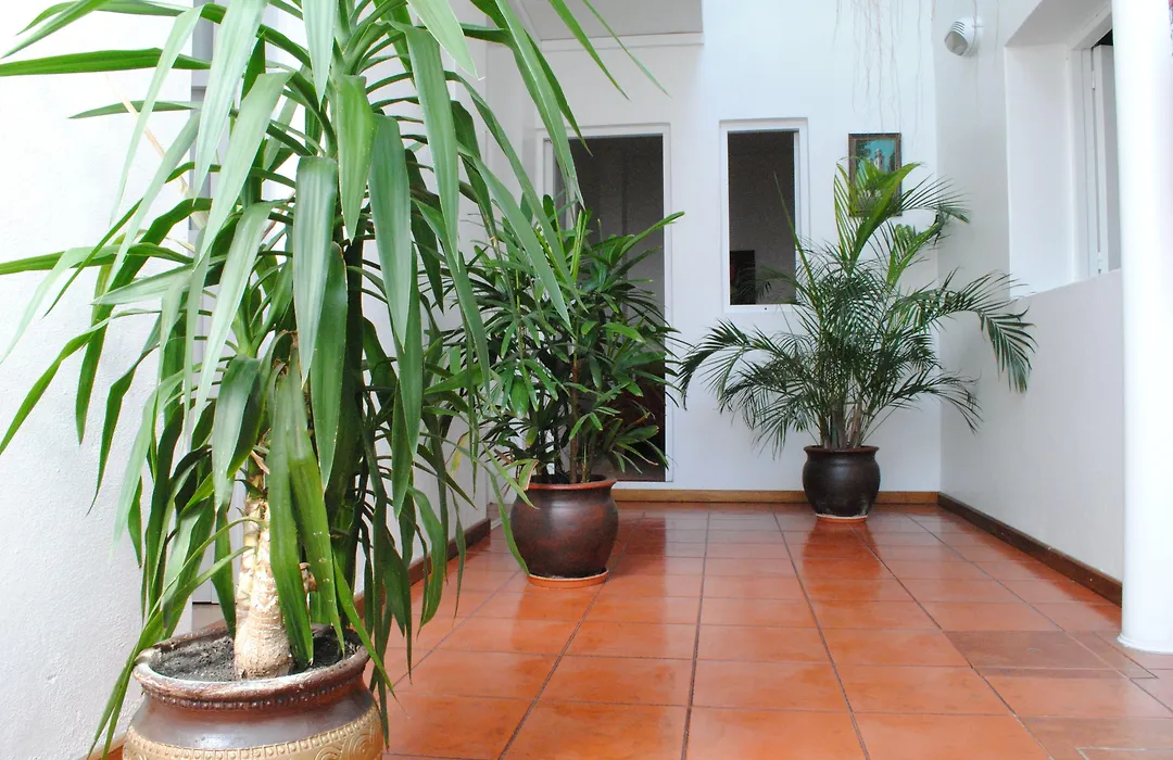 Hotel Romi-1