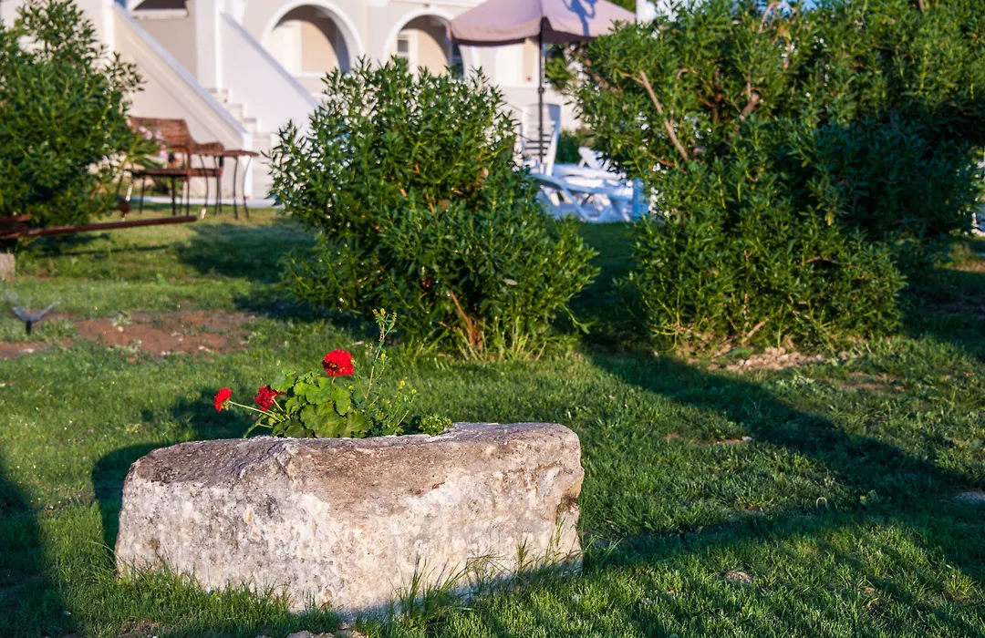 Klelia Beach Hotel By Zante Plaza-1