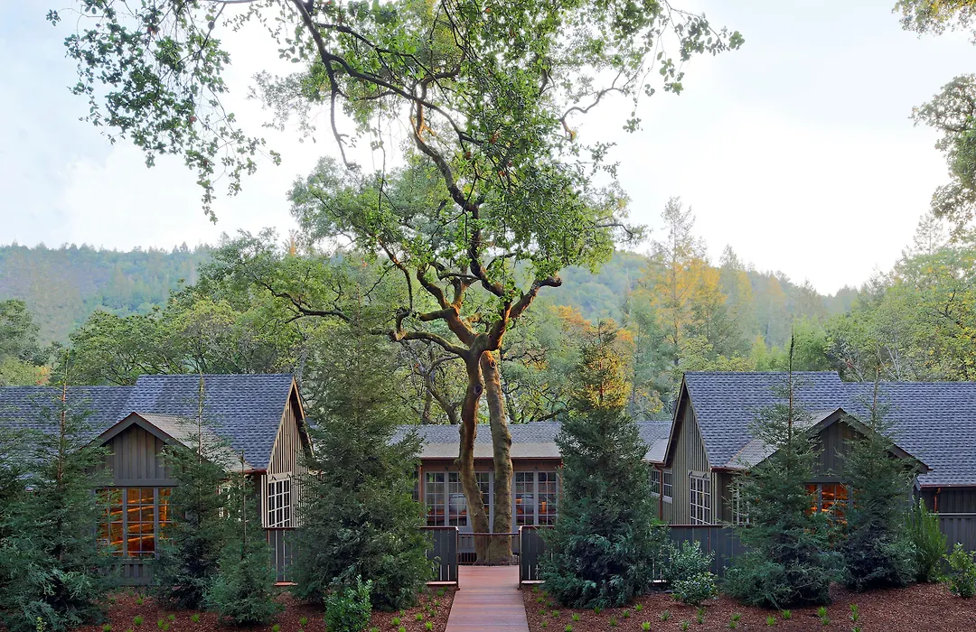 Meadowood Napa Valley-1