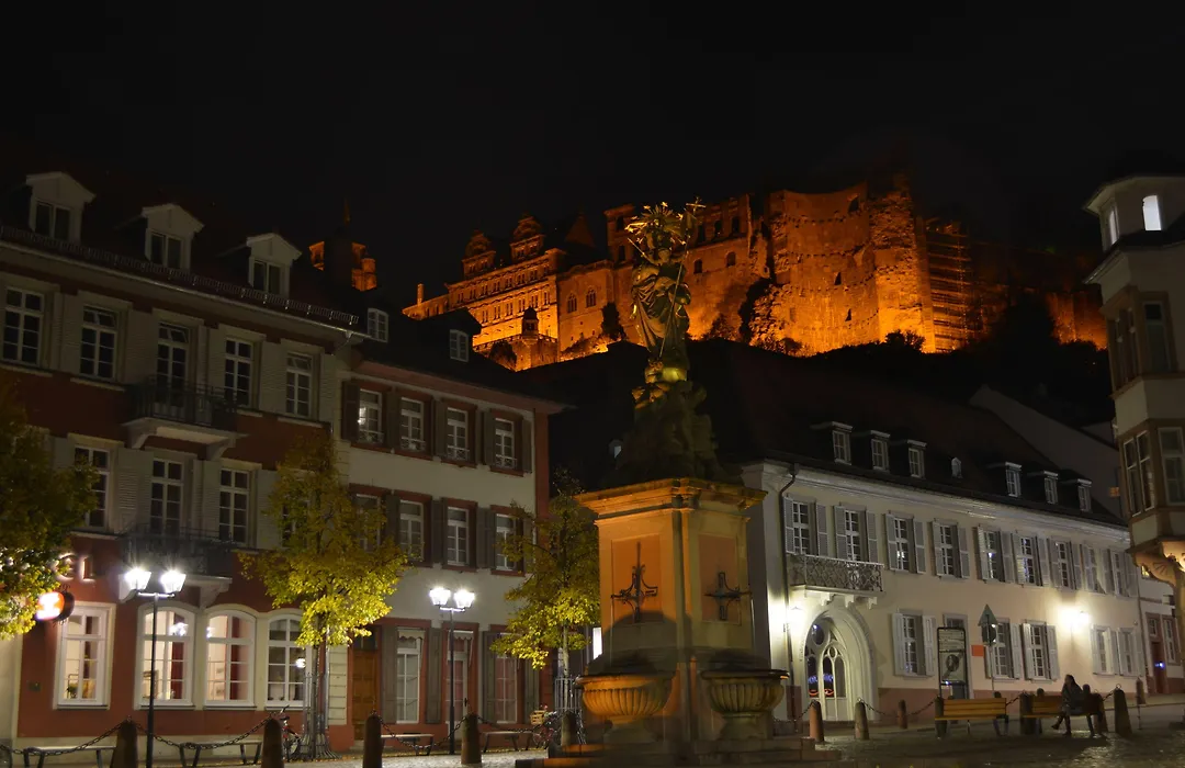 Neu Heidelberg - Guesthouse&Apartments-1