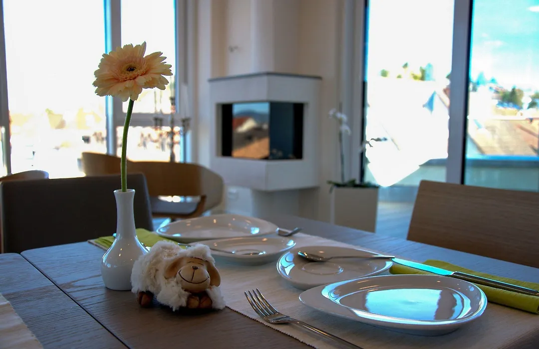 Taome Feng Shui Stadthotel Breisgau-1