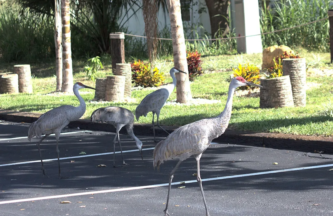 At Home Inn - Fort Pierce-1