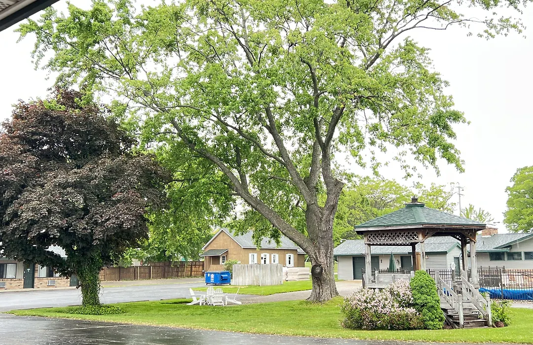 Viking Arms Inn - Ludington-1