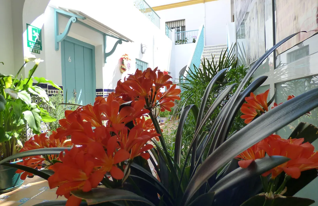 Hostal Campo Nuevo-1