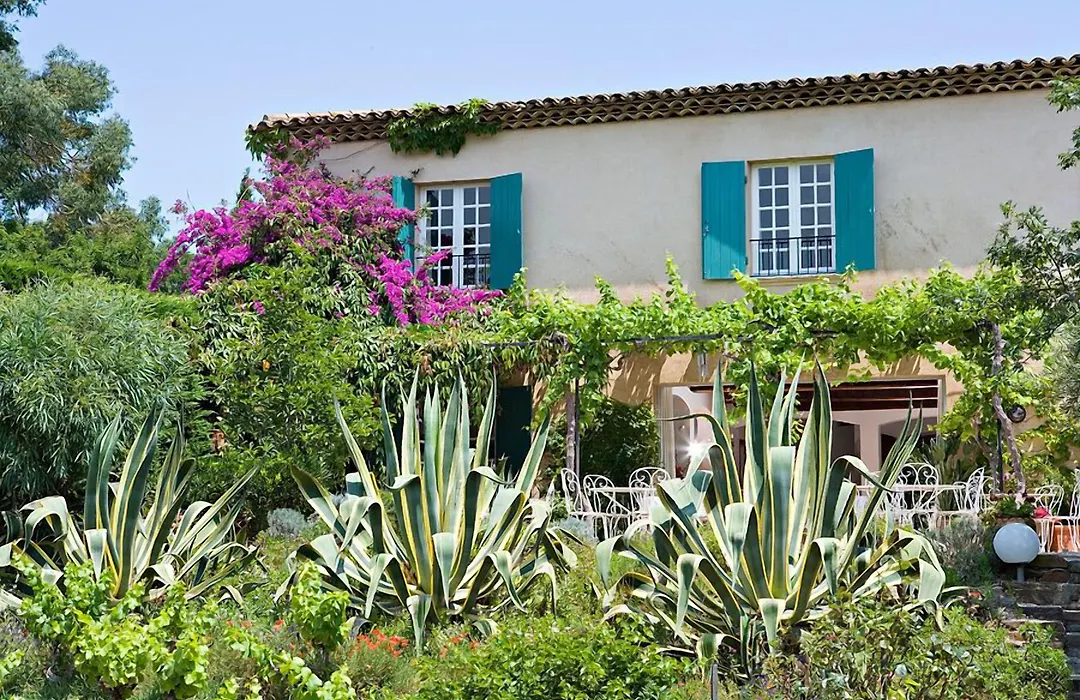 Saint-Vincent-1