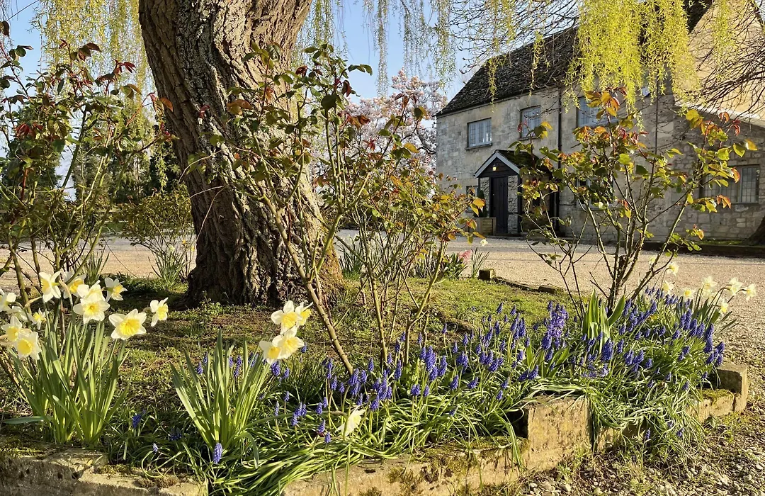 Hill Farm-1