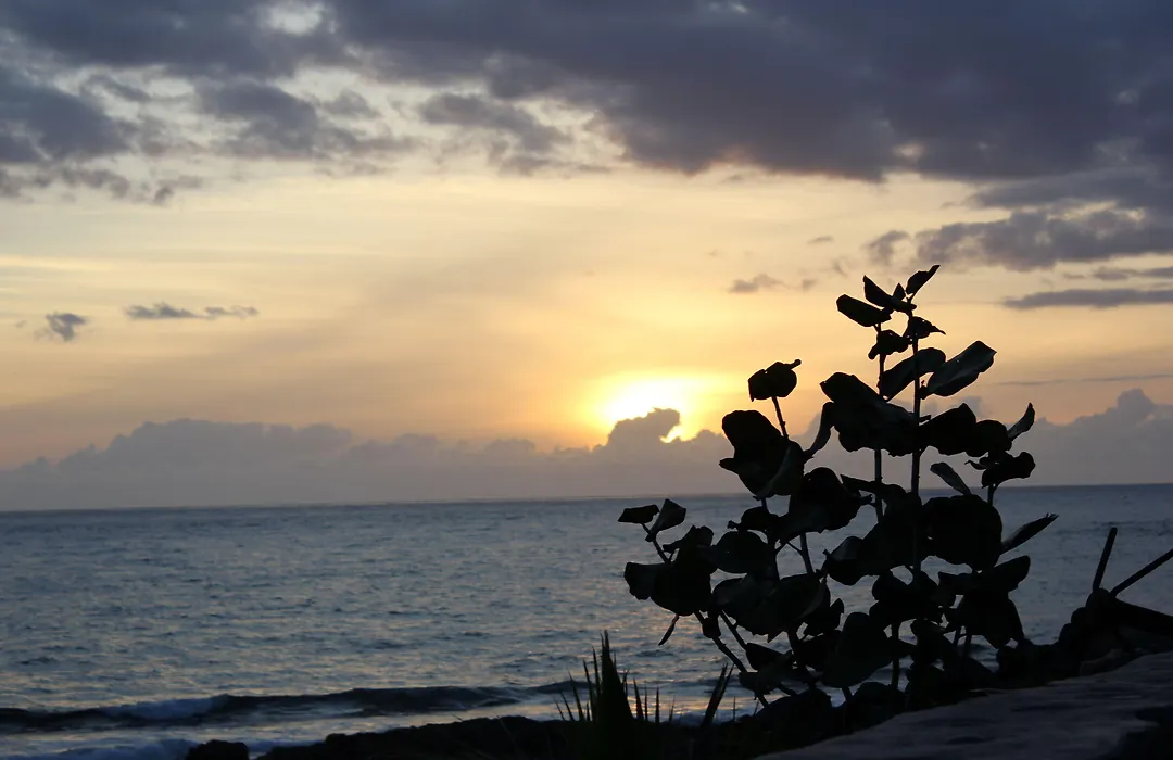 Hotel Benahoare-1