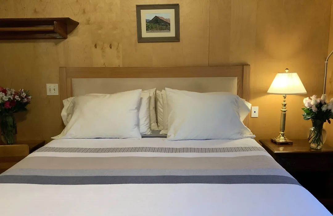 The Woods Hotel - Gay Lgbtq Cabins-1