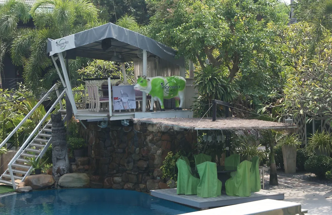 Momento Resort-1