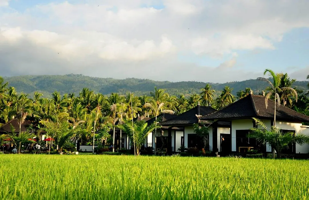 Pandawa Village-1