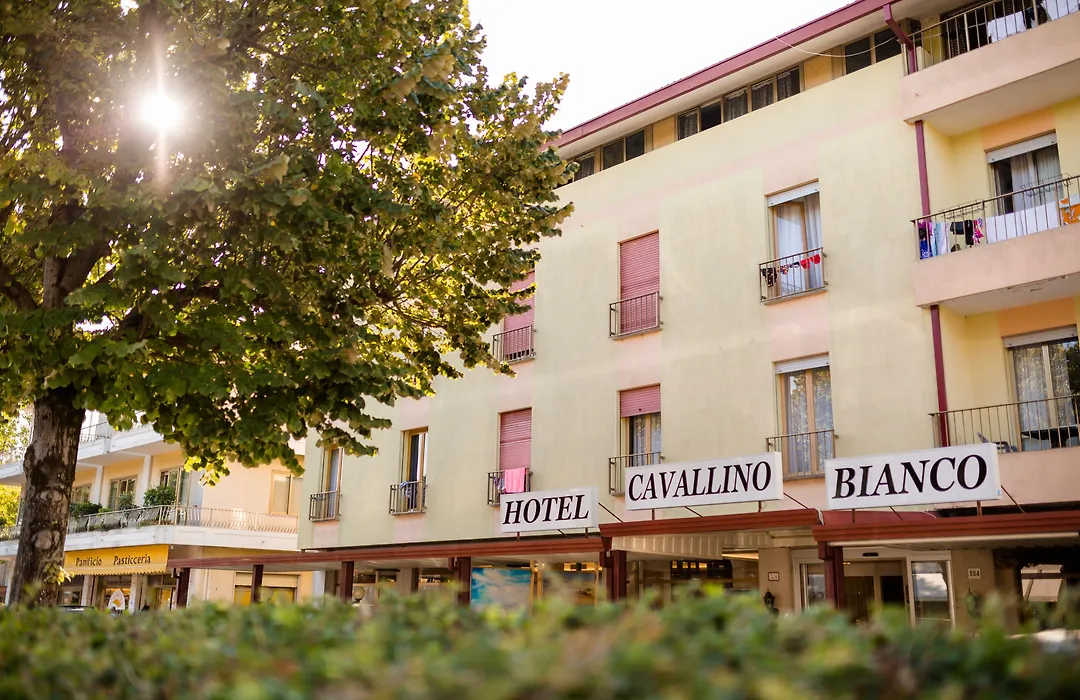Hotel Cavallino Bianco-1
