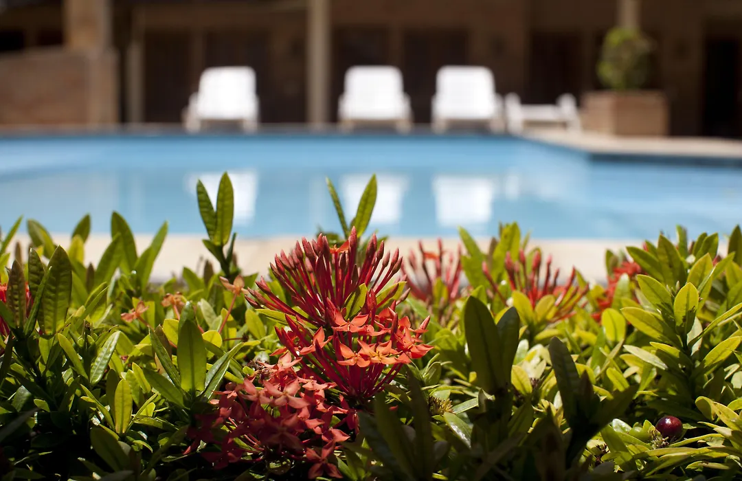 Hotel Vento Brasil-1