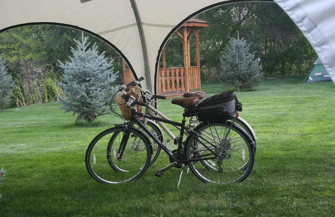 Dreamcatcher Bed And Breakfast-1