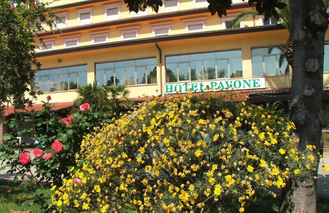 Grand Hotel Pavone-1