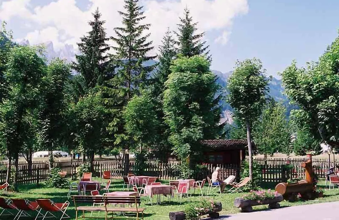 Hotel Stella Alpina-1