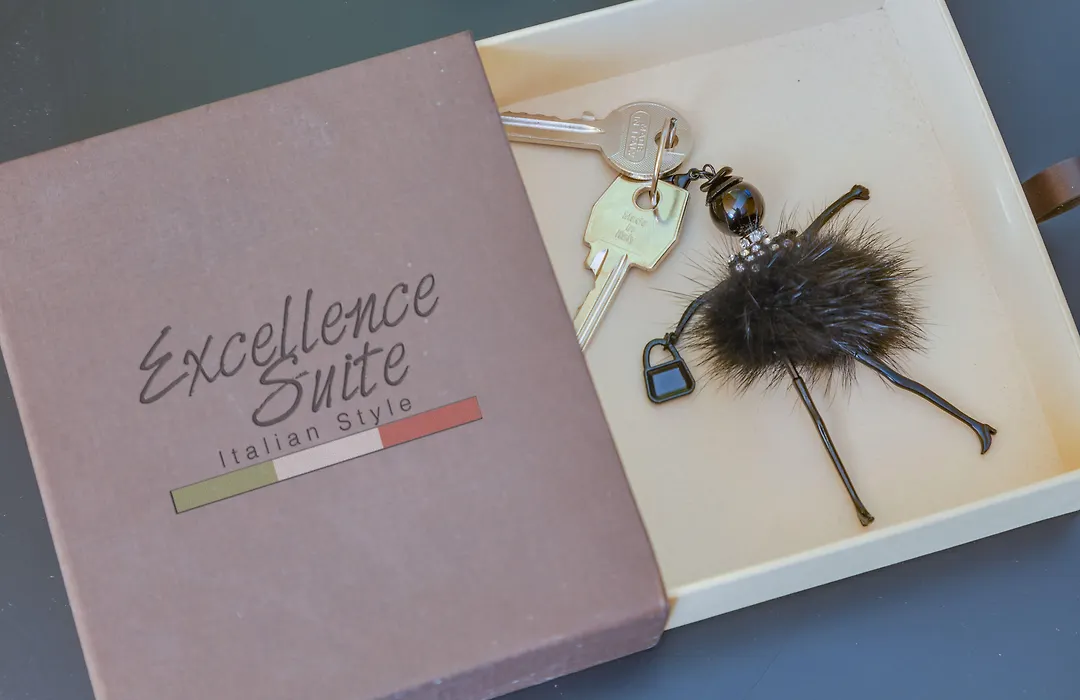 Excellence Suite-1
