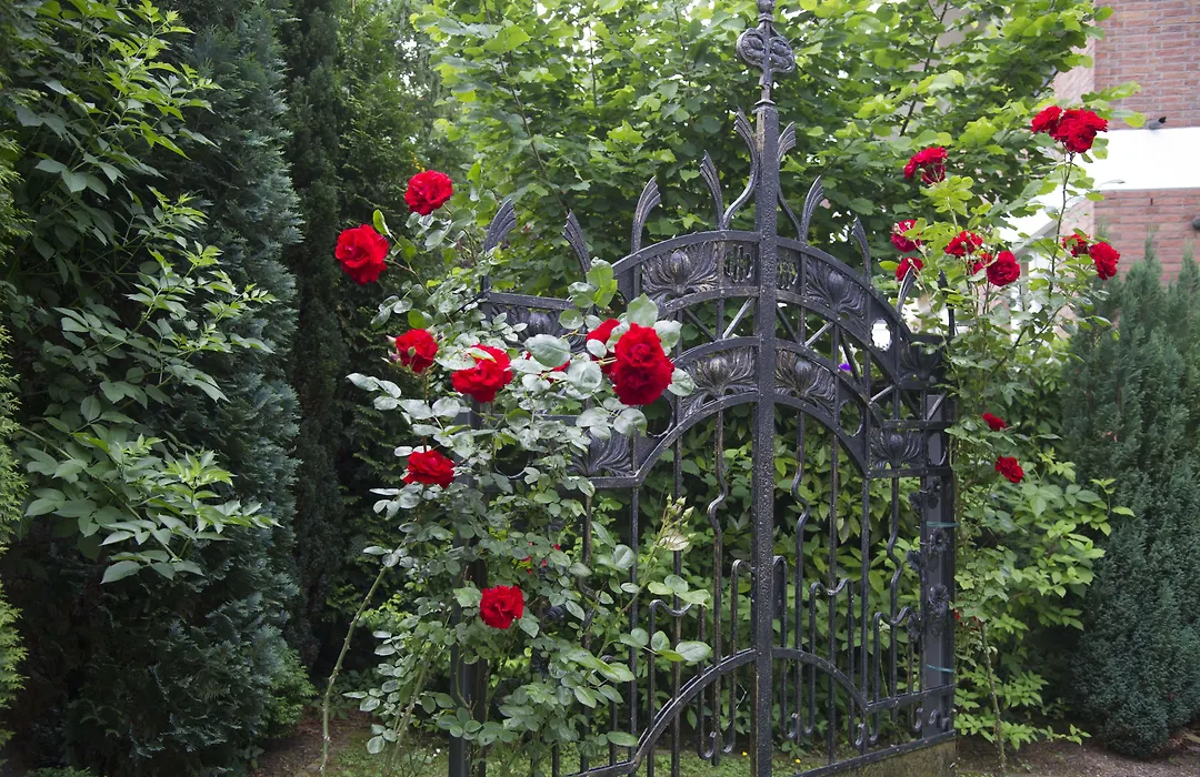 Boutiquehotel Dreesen - Villa Godesberg-1