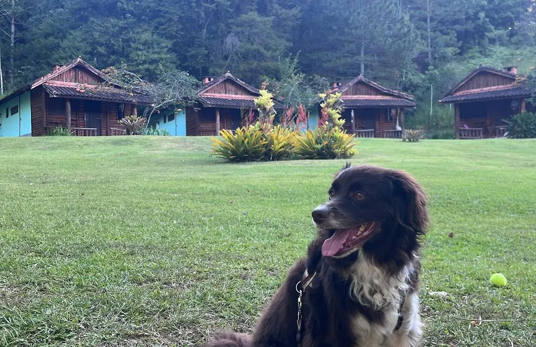 Pousada Cabanas da Serra Lumiar-1