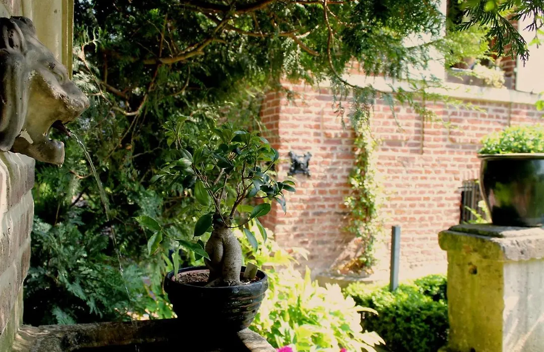 Comme une parenthèse au coeur des hortillonnages-1