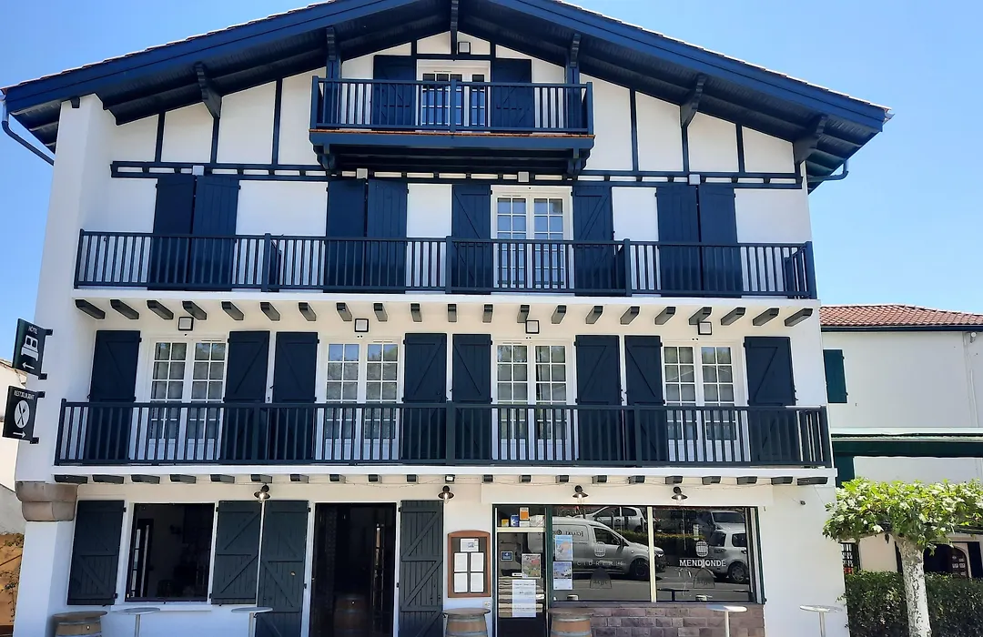 Hotel Mendionde-1
