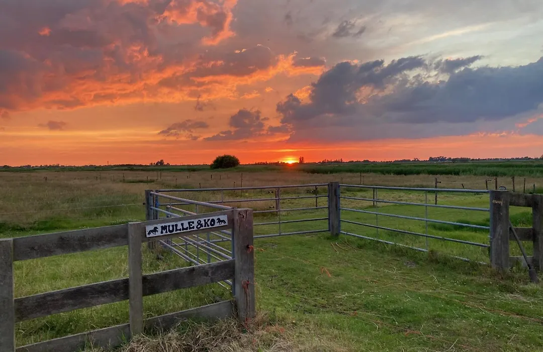 Bnb Purmerland-1